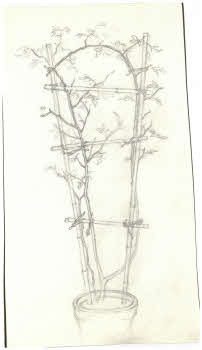 Visualizza l'immagine "FD D 71"